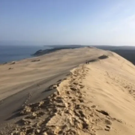 Rénové Centre Moulleau Avec Balcon Et Parking - Fr-1-374-159